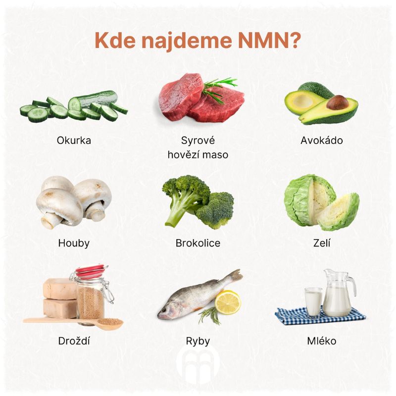 Návrh bez názvu (78)